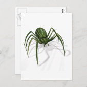 希少スイカクモ ポストカード (正面/裏面)