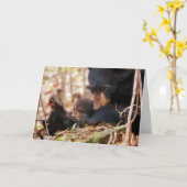 希望および信頼カード カード (黄色い花)