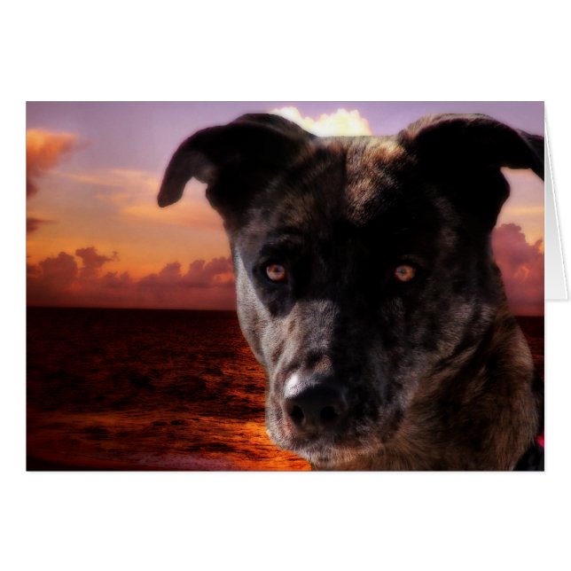 希望が海 (正面横)