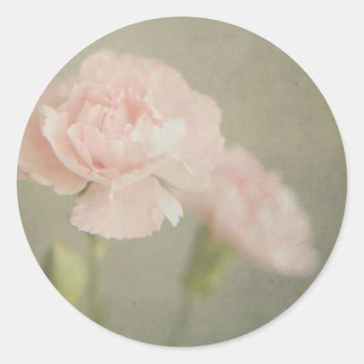 希望が湧き上がるように見える ラウンドシール (正面)