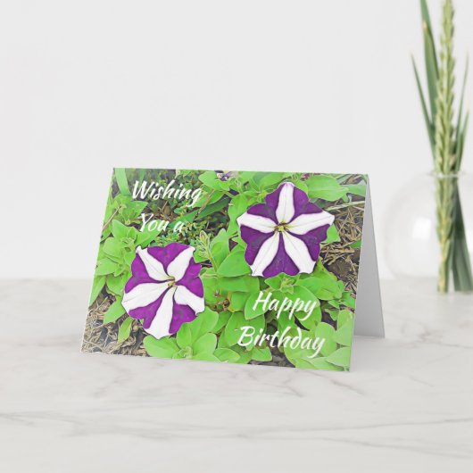 希望するハッピーバースデーパープルペチュニア カード (正面)