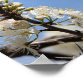 希望と信仰に関するフローラの蝶 ポスター (角)