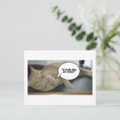 希望と変化/猫ユーモア ポストカード (スタンド正面)