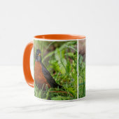 希望に満ちたアメリカのロビンソンバードの芝生 マグカップ (正面左)