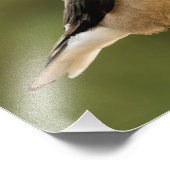 希望に満ちたクラークのくるみ割り フォトプリント (角)