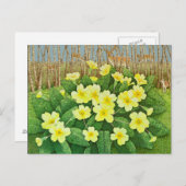 希望に満ちた2011 ポストカード (正面/裏面)