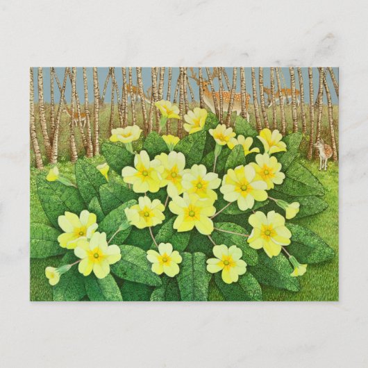 希望に満ちた2011 ポストカード (正面)