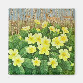 希望に満ちた2011 マグネット (正面)