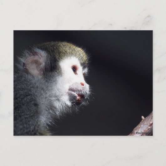 「希望に満ちた」ポストカード ポストカード (正面)