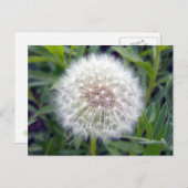 希望のはがきを作成する ポストカード (正面/裏面)