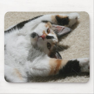 希望のマウスパッド マウスパッド