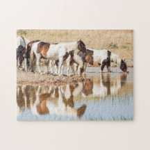 希望のミラージュ