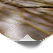 「希望の使者」 フォトプリント            (角)