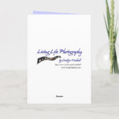 希望の光線カード カード (裏面)