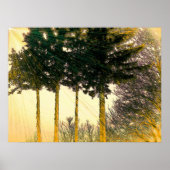 希望の光 ポスター (正面)