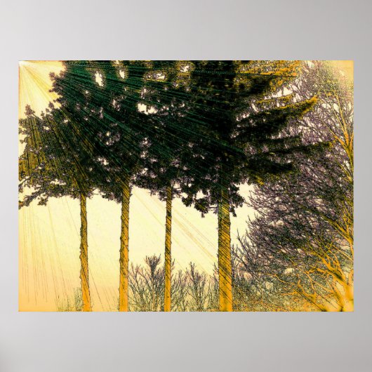 希望の光 ポスター (正面)