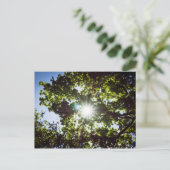 希望の光 ポストカード (スタンド正面)