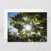 希望の光 ポストカード (正面/裏面)