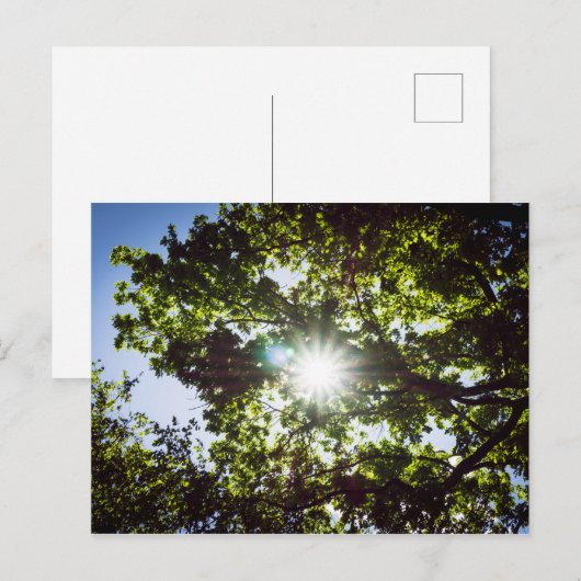 希望の光 ポストカード (正面/裏面)