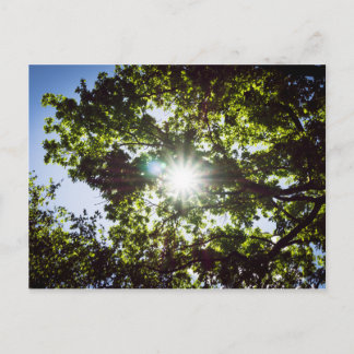 希望の光 ポストカード