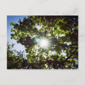 希望の光 ポストカード (正面)