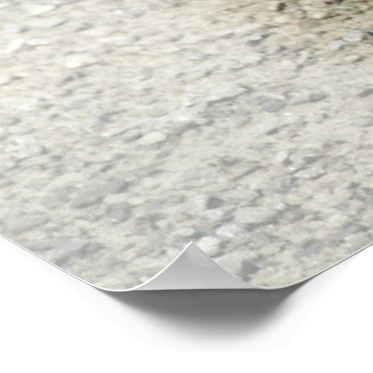 希望の言葉聖なる書物、 経典蝶の写真ポスター ポスター (角)