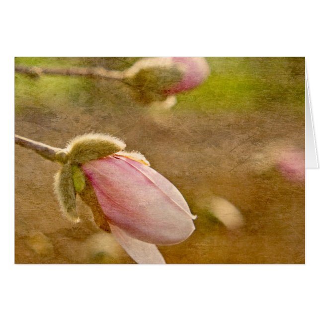 希望の賜物 (正面横)