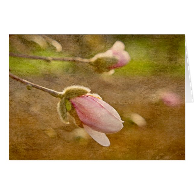 希望の賜物 (正面横)