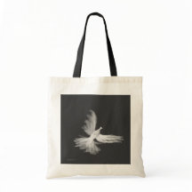 希望の飛行