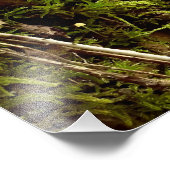 希望の高まり フォトプリント            (角)