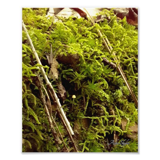 希望の高まり フォトプリント            (正面)