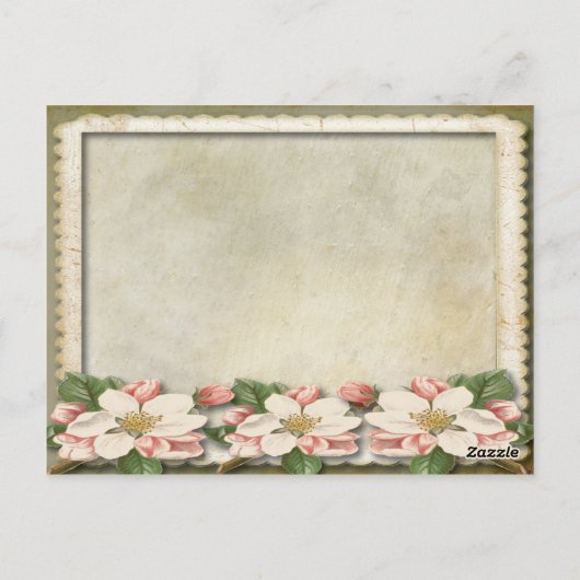 希望のGRADヴィンテージアドバイス卒業表 ポストカード (裏面)