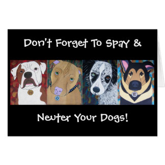 希望はカードの後をつけます