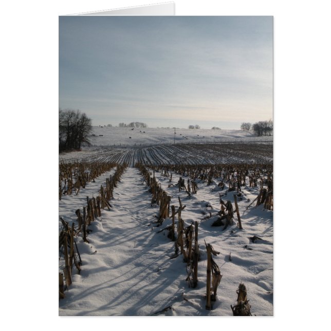 希望は永遠はねます (正面)