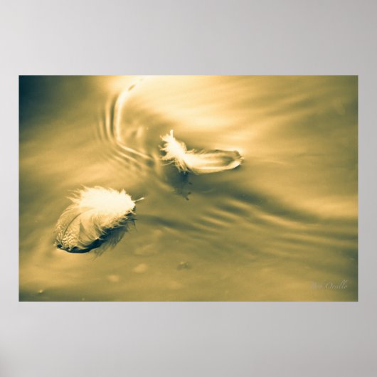 希望は羽が生えている ポスター (正面)