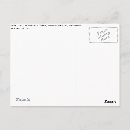 希望は飛行を取ります ポストカード (裏面)