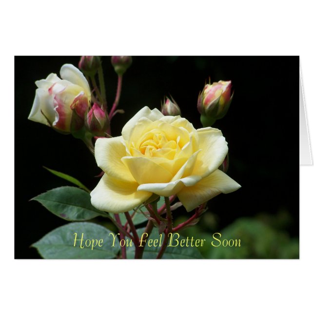 希望カードをよりよくすぐに感じます (正面横)