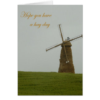 希望干し草日を過します