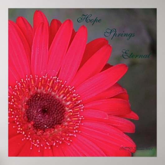 希望春永遠… ポスター (正面)