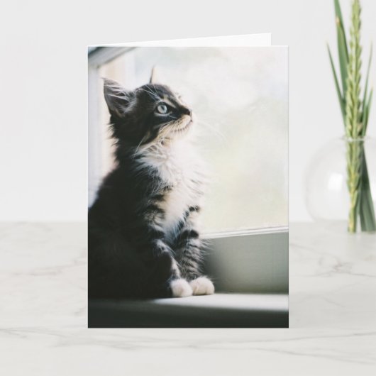 希望的観測の挨拶状 カード (正面)