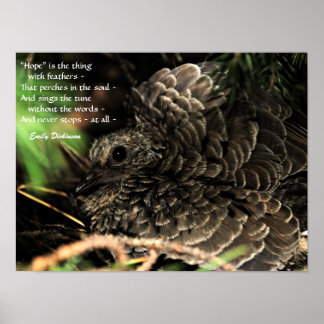 "希望"は羽のポスターの物である ポスター