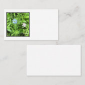 希望 エンクロージャーカード (正面/裏面)