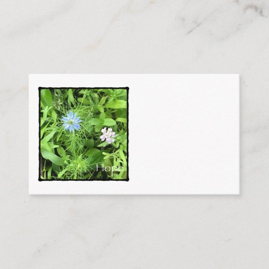 希望 エンクロージャーカード (正面)