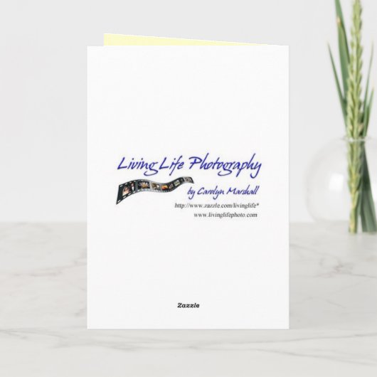 希望 カード (裏面)