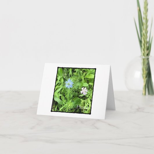 希望 カード (正面)