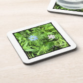 希望 コースター (左側)