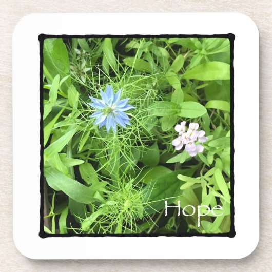 希望 コースター (正面)