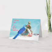 希望 シーズンカード (正面)