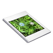 希望 ノートブック (右側)