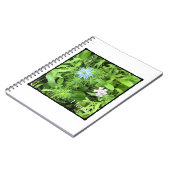 希望 ノートブック (左側)